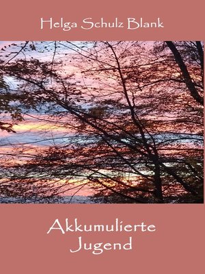 cover image of Akkumulierte Jugend
